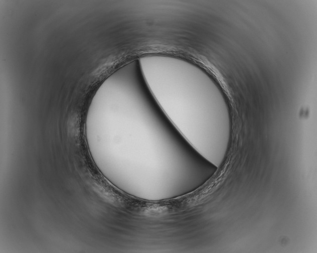 X0000095540257200712141030