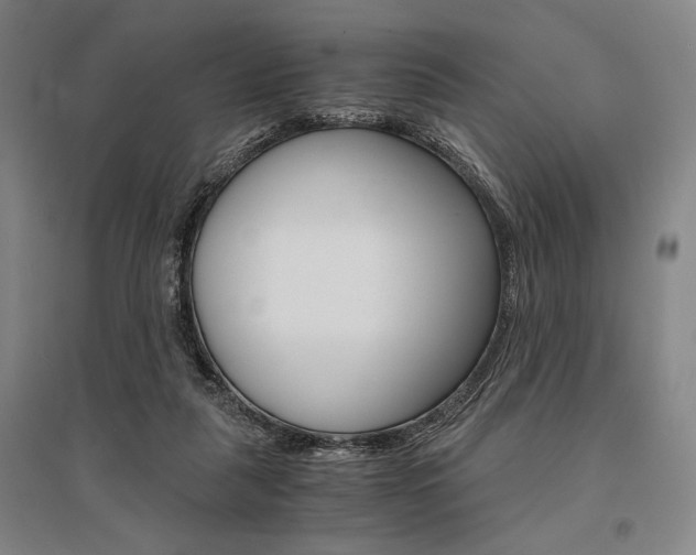 X0000095540259200712141030