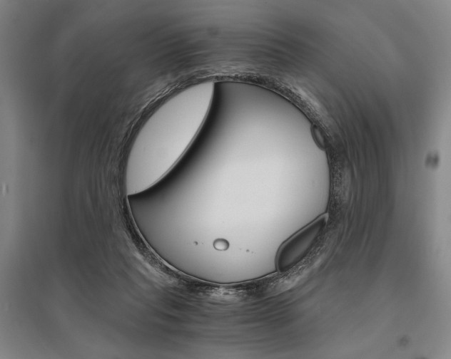X0000095540261200712141030