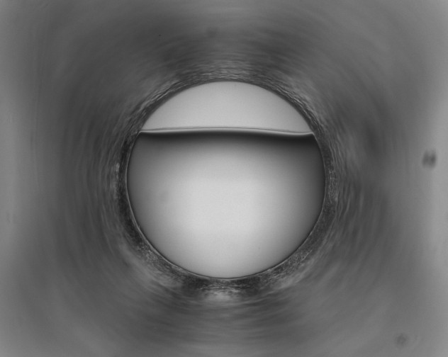 X0000095540263200712141030