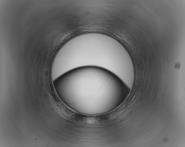 X0000095540264200712141030