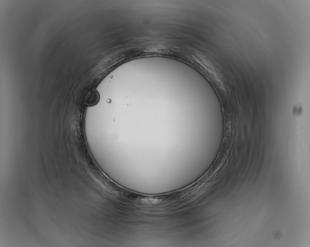 X0000095540265200712141030
