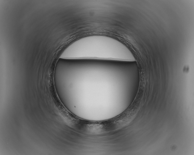 X0000095540266200712141030