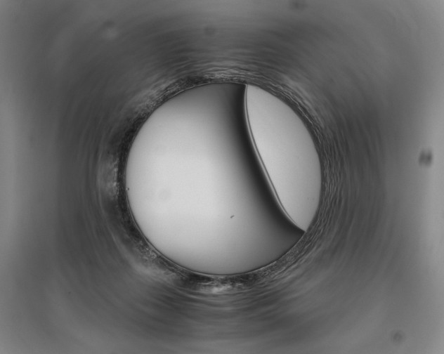 X0000095540267200712141030