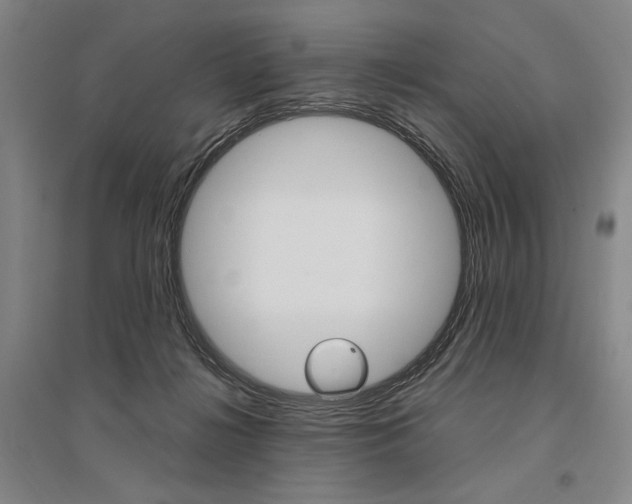 X0000095540268200712141030