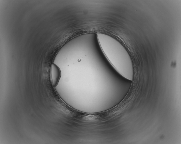 X0000095540269200712141030