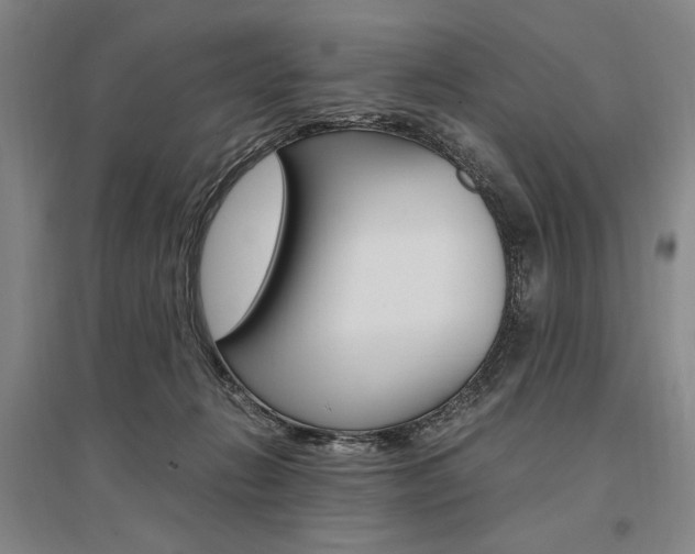 X0000095540270200712141030