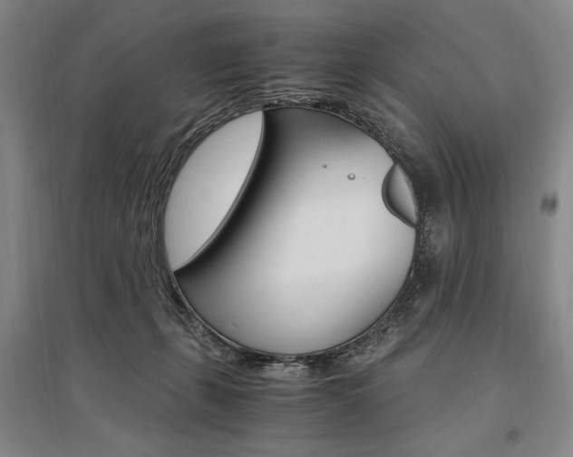 X0000095540271200712141030