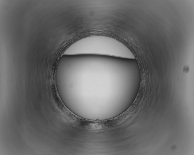 X0000095540272200712141030