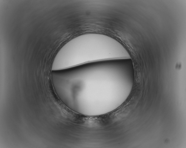 X0000095540273200712141030