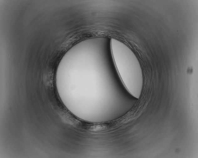 X0000095540274200712141030