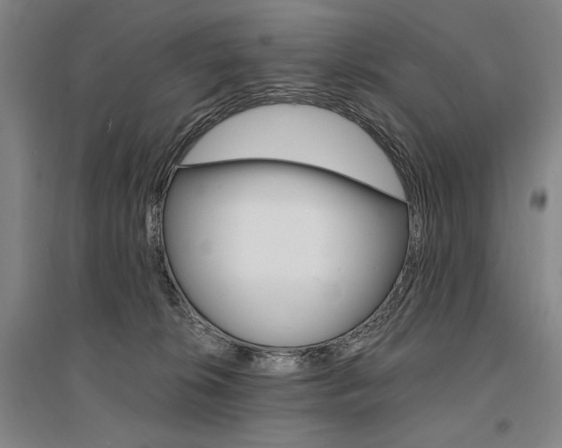 X0000095540276200712141030