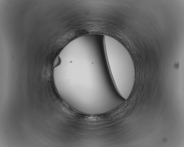 X0000095540277200712141030