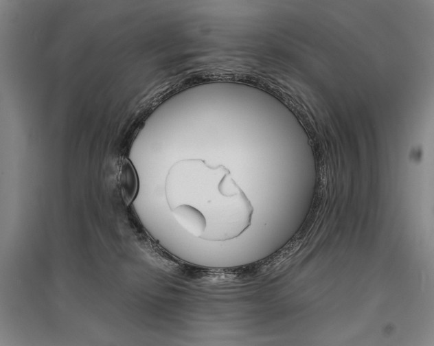 X0000095540278200712141030