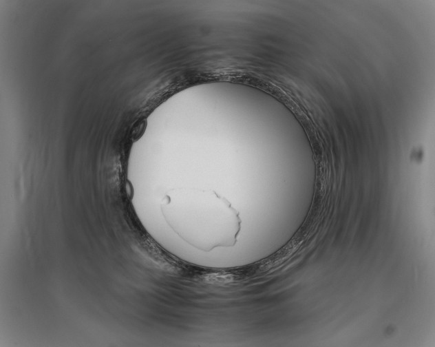 X0000095540279200712141030