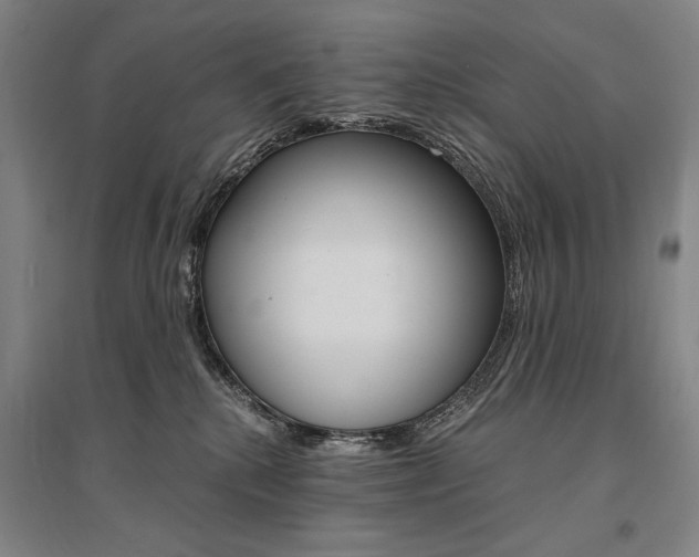 X0000095540280200712141030
