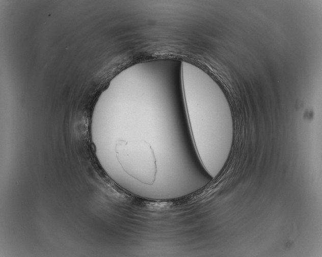 X0000095540281200712141030