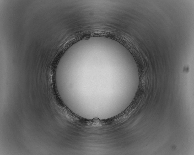 X0000095540282200712141030
