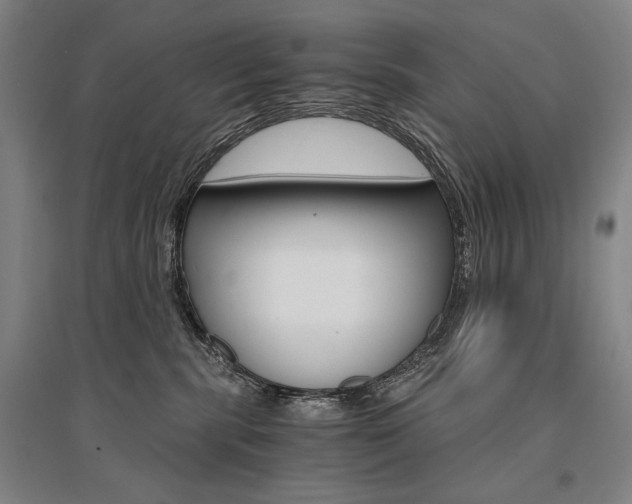 X0000095540283200712141030