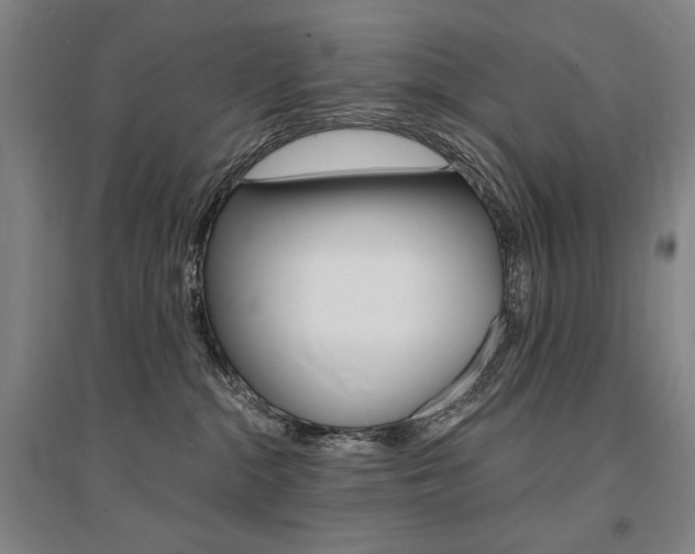 X0000095540284200712141030