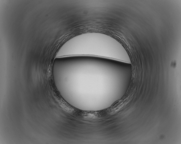X0000095540285200712141030