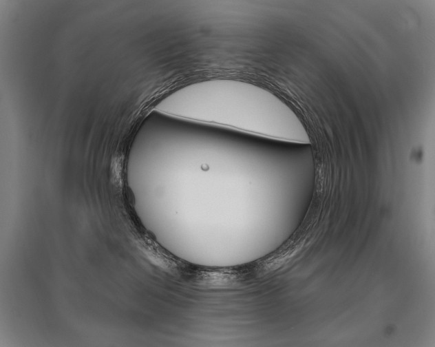 X0000095540286200712141030