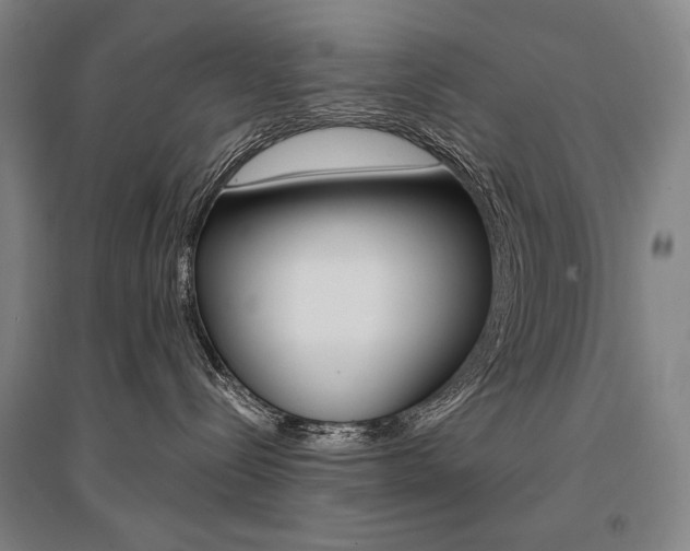 X0000095540288200712141030