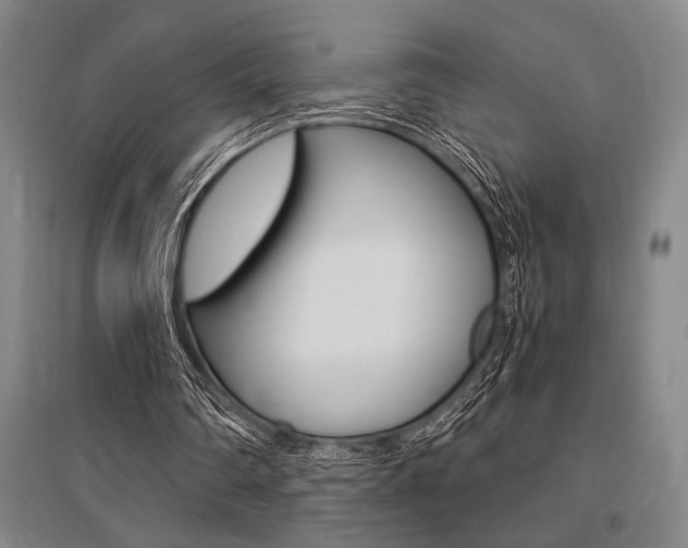 X0000095540290200712141030