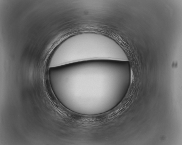 X0000095540291200712141030