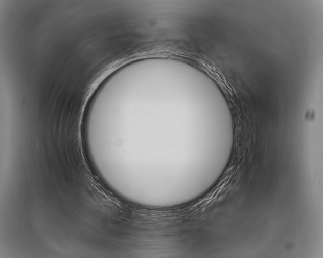 X0000095540292200712141030