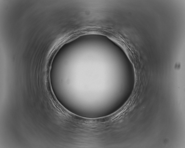 X0000095540293200712141030