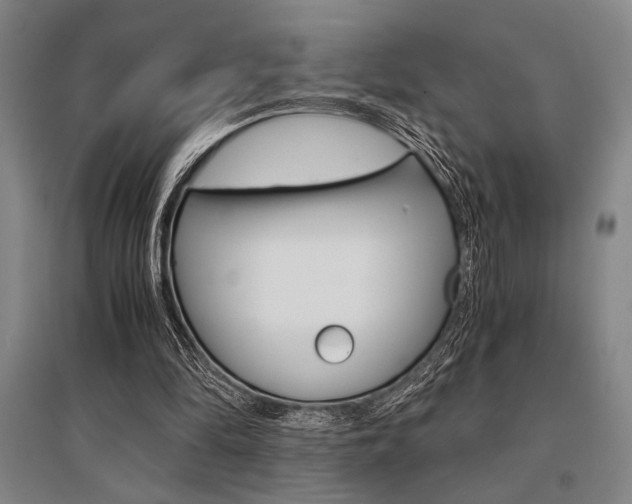 X0000095540294200712141030