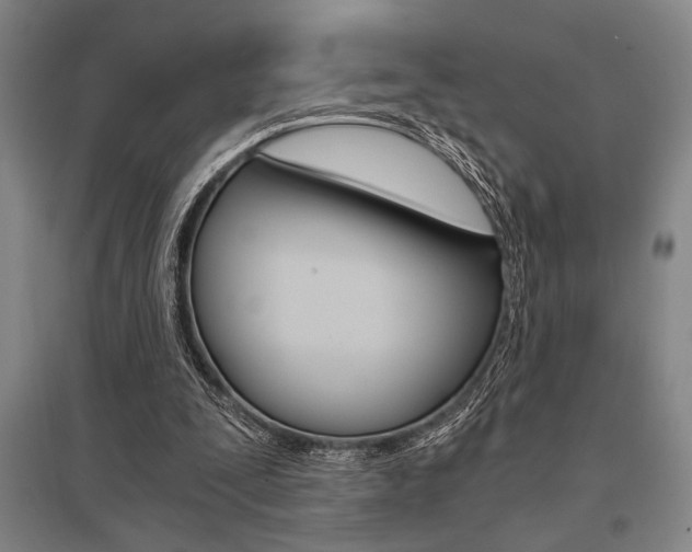 X0000095540295200712141030