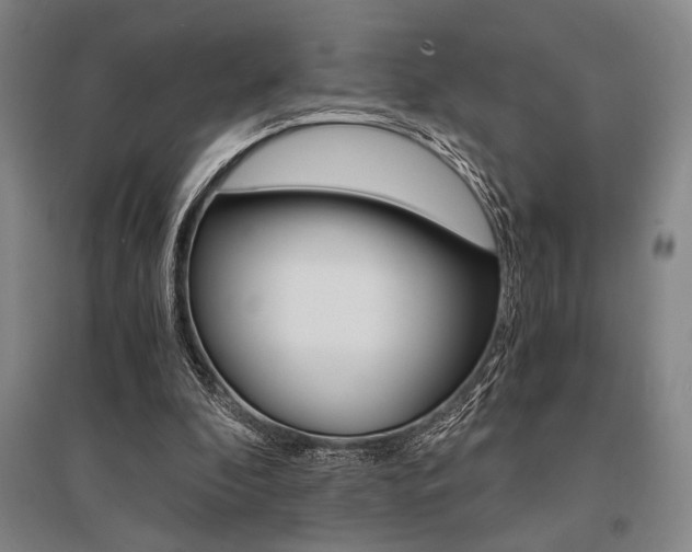 X0000095540296200712141030