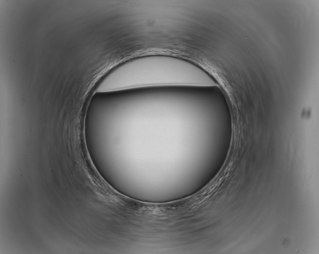 X0000095540297200712141030