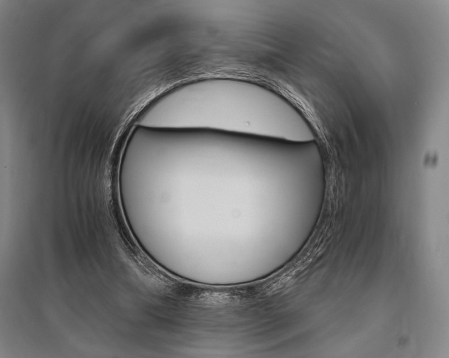 X0000095540298200712141030