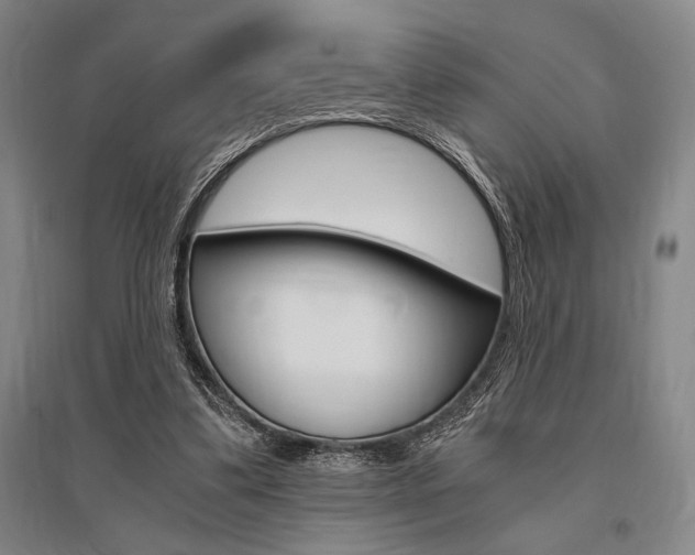 X0000095540299200712141029