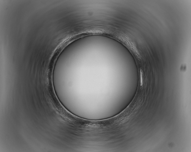 X0000095540300200712141029