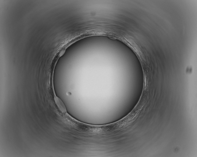 X0000095540301200712141029