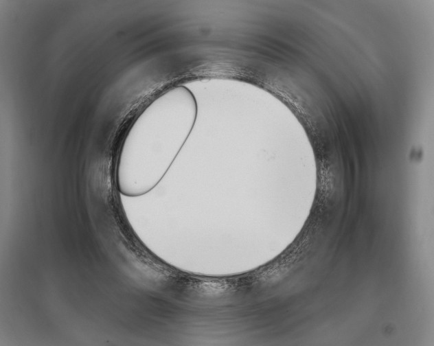 X0000095540302200712141029