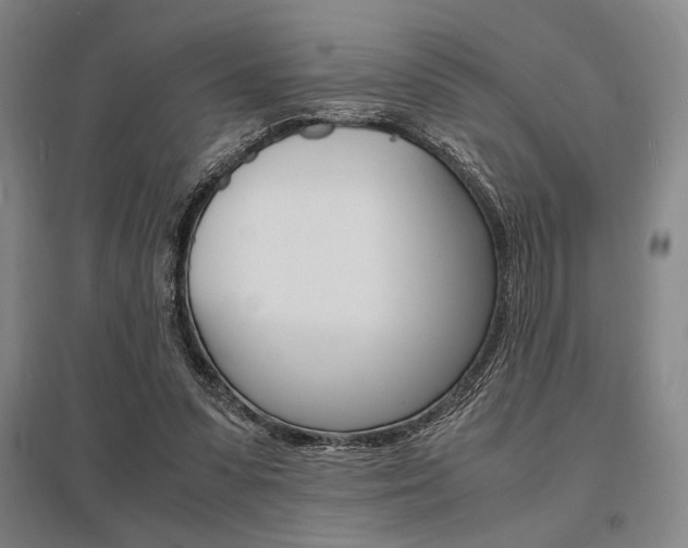 X0000095540303200712141029