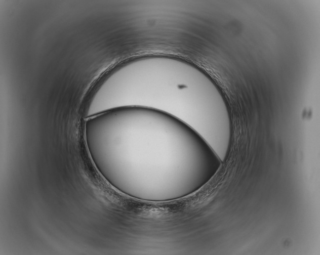 X0000095540304200712141029