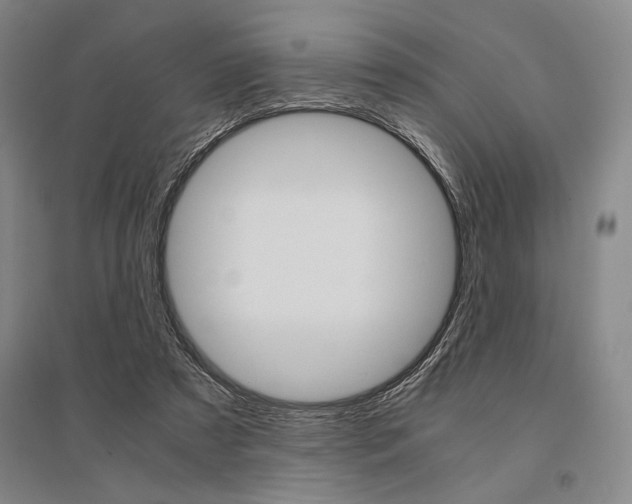X0000095540305200712141029