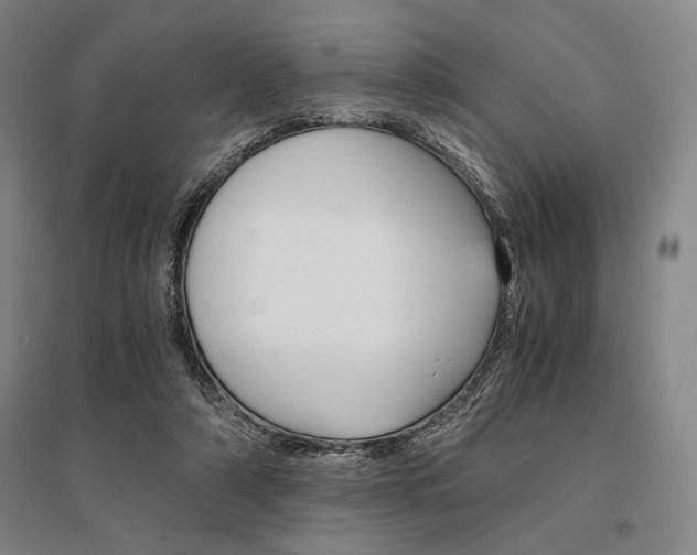 X0000095540306200712141029