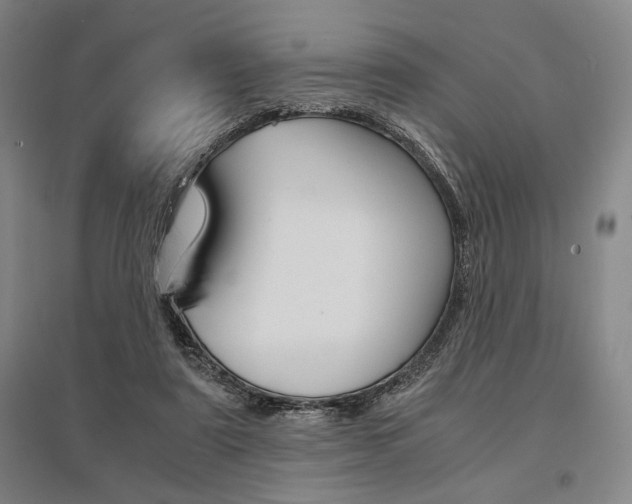 X0000095540307200712141029
