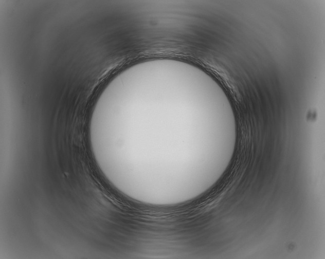 X0000095540308200712141029