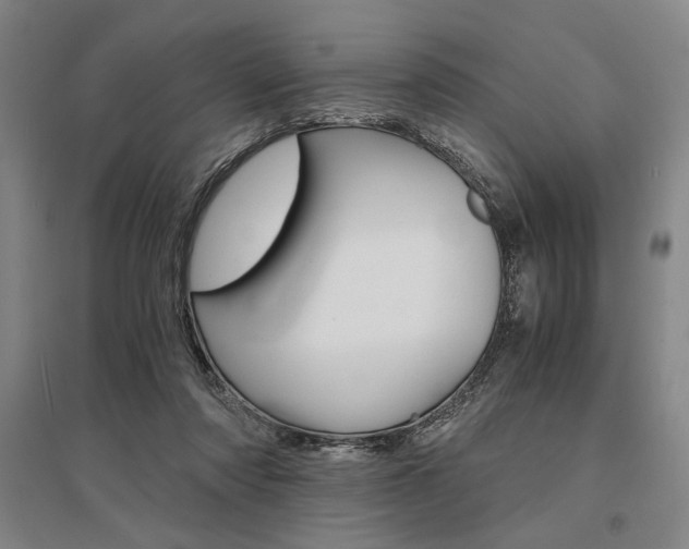 X0000095540310200712141029