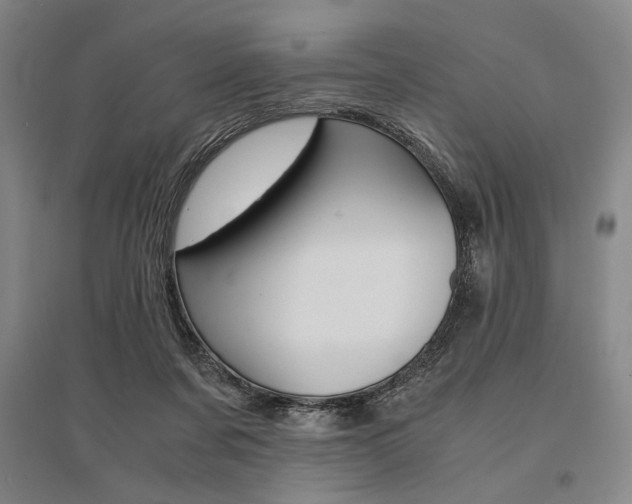 X0000095540311200712141029