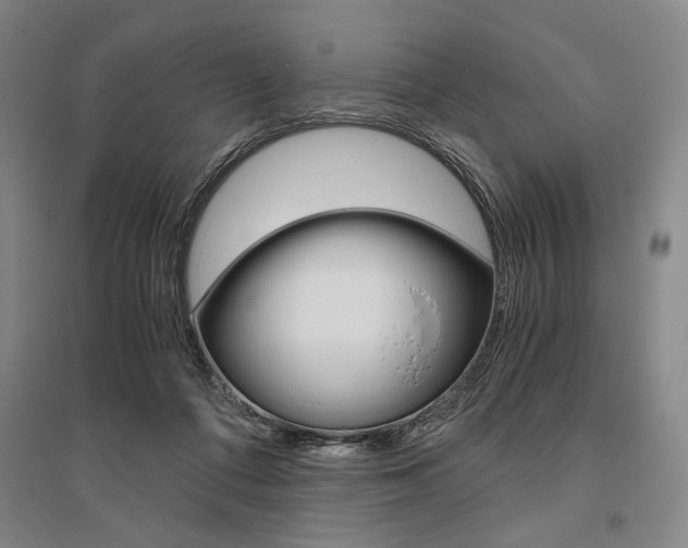 X0000095540312200712141029