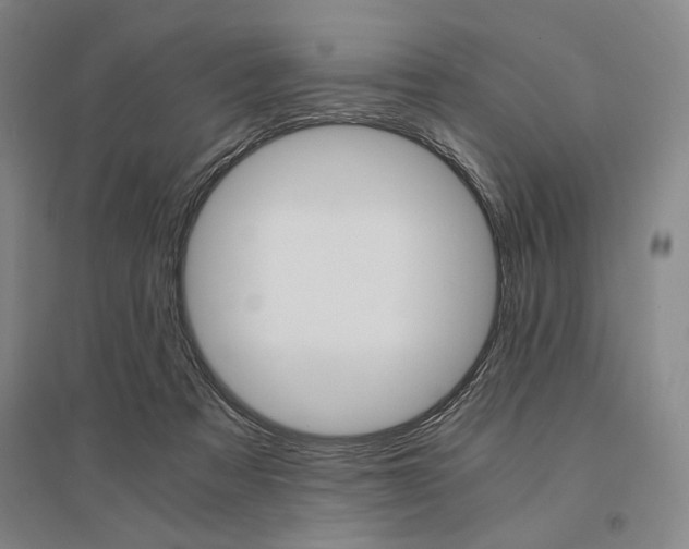 X0000095540313200712141029